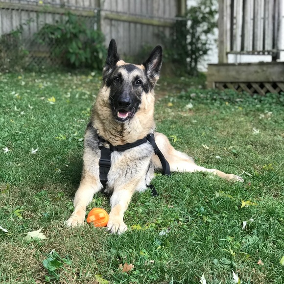 Meet your seller/buyer! I’m Julia 👋🏻 - Picture 10 of 11